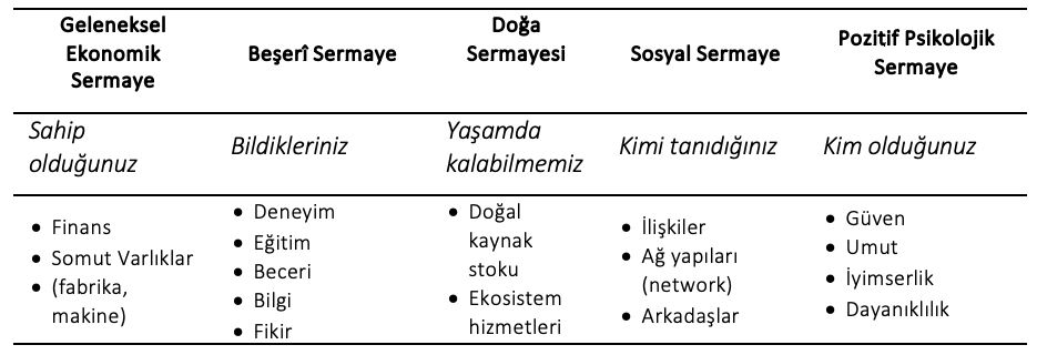 Ekran-Resmi-2025-04-23-19.06.57 5. Bir Üretim Faktörü Olarak Sermayenin Durumu Nasıldır?
