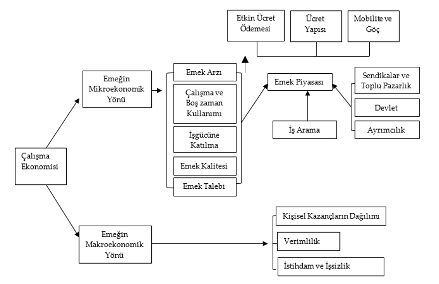 Ekran-Resmi-2025-04-23-19.14.11 17. İşgücü Piyasalarının Kavramsal Çerçevesi Nasıl Tanımlanır?