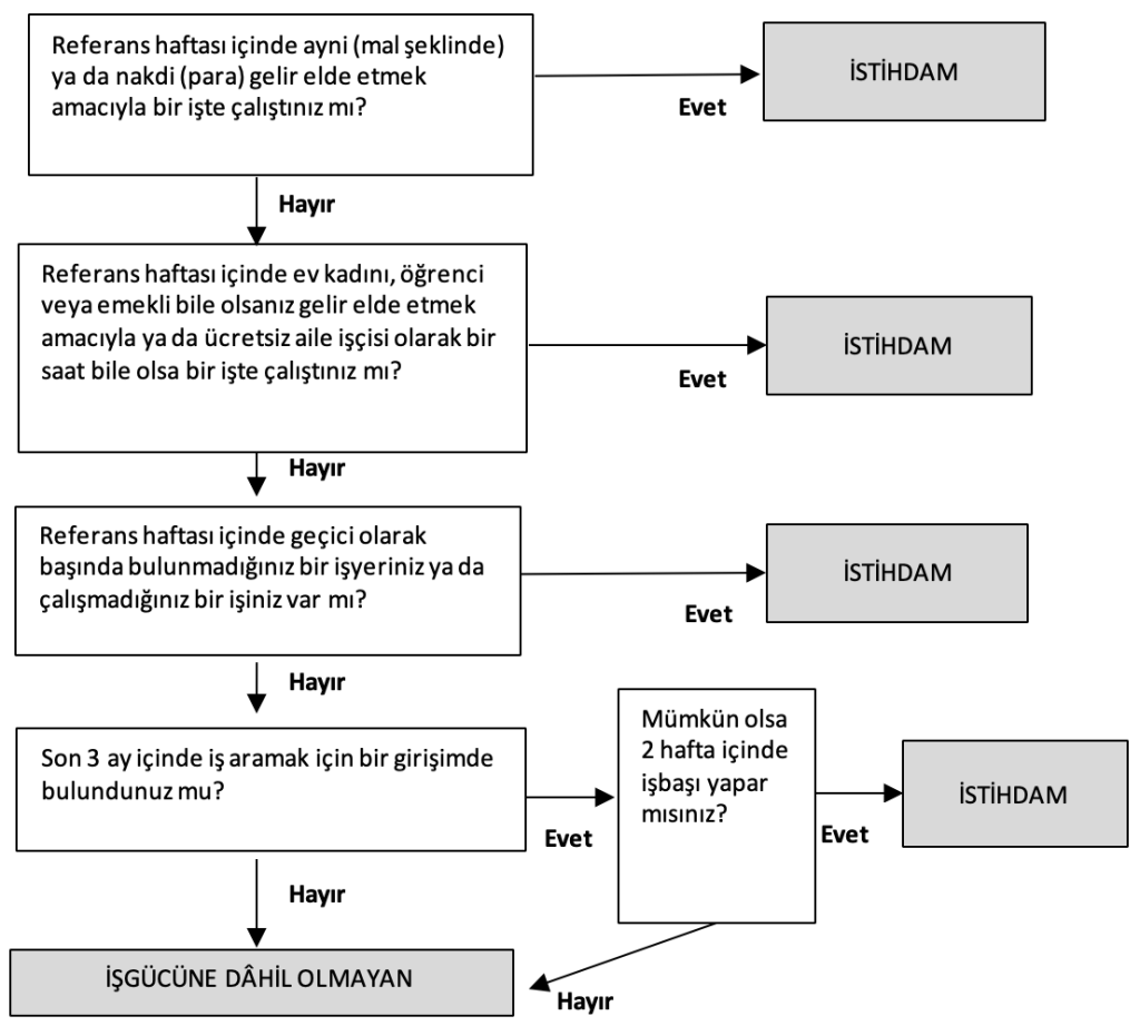 Ekran-Resmi-2025-04-23-21.11.12-1024x922 28. İşgücü Anketlerinin İşleyişi Nasıldır?