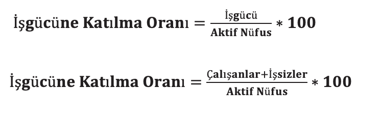 Ekran-Resmi-2025-04-23-21.12.53 30. İşgücüne Katılma Oranı Nedir? Nasıl Hesaplanır?