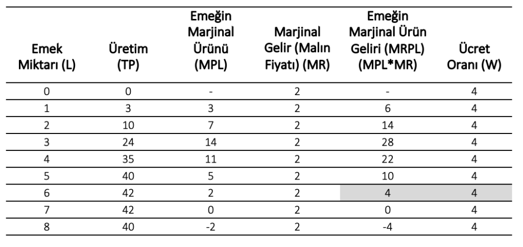 Ekran-Resmi-2025-04-23-21.30.54-1024x483 41. Firma Kısa Dönemde Kaç İşçi İstihdam Edeceğine Nasıl Karar Verir?