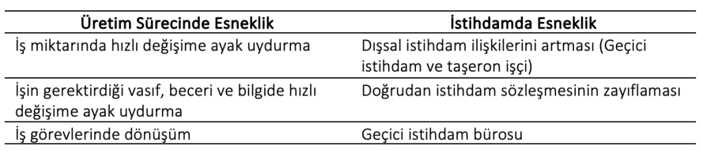 Ekran-Resmi-2025-04-23-23.17.46-1024x230 97. Esnekliğin İşgücü Piyasalarındaki Rolü Nedir?
